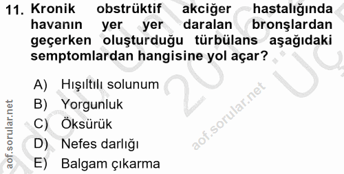 11. soru: Kronik obstrüktif akciğer hastalığında havanın yer yer daralan bronşlardan geçerken oluşturduğu türbülans aşağıdaki s…