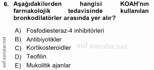 6. soru: Aşağıdakilerden hangisi KOAH'nın farmakolojik tedavisinde kullanılan bronkodilatörler arasında yer alır? A) Fosfodies…