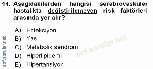 14. soru: Aşağıdakilerden hangisi serebrovasküler hastalıkta değiştirilemeyen risk faktörleri arasında yer alır? A) Enfeksiyon…