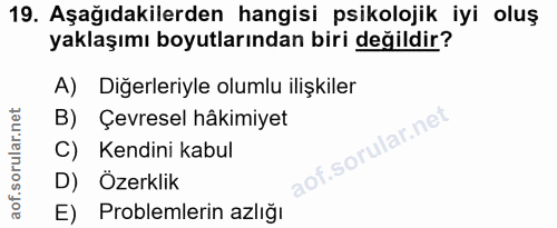 19. soru: Aşağıdakilerden hangisi psikolojik iyi oluş yaklaşımı boyutlarından biri değildir? A) Diğerleriyle olumlu ilişkiler B…