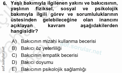 6. soru: Yaşlı bakımıyla ilgilenen yakını ve bakıcısının, yaşlının fiziksel, sosyal ve psikolojik bakımıyla ilgili görev ve so…