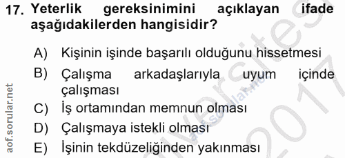 17. soru: Yeterlik gereksinimini açıklayan (ifade aşağıdakilerden hangisidir? A) Kişinin işinde başarılı olduğunu hissetmesi B)…