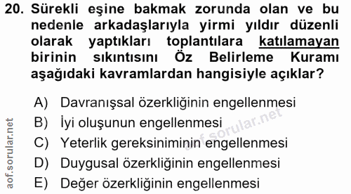 20. soru: Sürekli eşine bakmak zorunda olan ve bu nedenle arkadaşlarıyla yirmi yıldır düzenli olarak yaptıkları toplantılara ka…