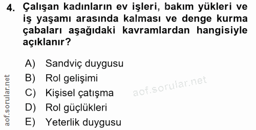 4. soru: Çalışan kadınların ev işleri, bakım yükleri ve iş yaşamı arasında kalması ve denge kurma çabaları aşağıdaki kavramlar…