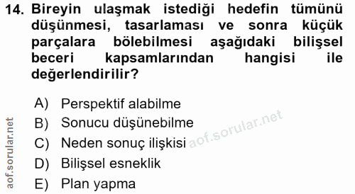 14. soru: Bireyin ulaşmak istediği hedefin tümünü düşünmesi, tasarlaması ve sonra küçük parçalara bölebilmesi aşağıdaki bilişse…