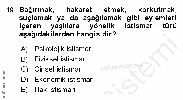 19. soru: Bağırmak, hakaret etmek, korkutmak, suçlamak ya da aşağılamak gibi eylemleri içeren yaşlılara yönelik istismar türü a…