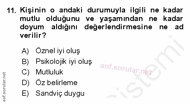 11. soru: Kişinin o andaki durumuyla ilgili ne kadar mutlu olduğunu ve yaşamından ne kadar doyum aldığını değerlendirmesine ne…