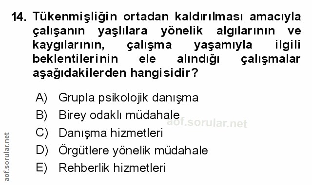 14. soru: Tükenmişliğin ortadan kaldırılması amacıyla çalışanın yaşlılara yönelik algılarının ve kaygılarının, çalışma yaşamıyl…