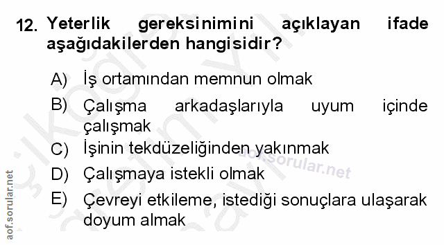 12. soru: Yeterlik gereksinimini açıklayan ifade aşağıdakilerden hangisidir? A) Iş ortamından memnun olmak B) Çalışma arkadaşla…