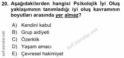 20. soru: Aşağıdakilerden hangisi Psikolojik İyi Oluş yaklaşımının tanımladığı iyi oluş kavramının boyutları arasında yer almaz…