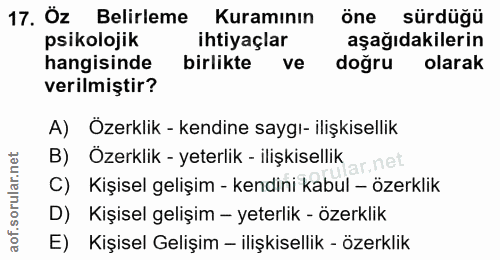 17. soru: ÖZ Belirleme Kuramının Öne sürdüğü psikolojik ihtiyaçlar aşağıdakilerin hangisinde birlikte ve doğru olarak verilmişt…