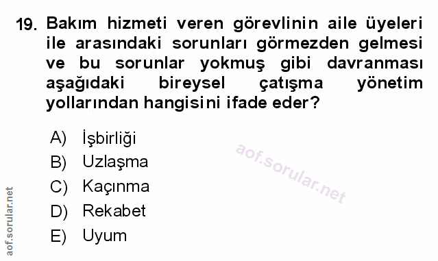 19. soru: Bakım hizmeti veren görevlinin aile üyeleri ile arasındaki sorunları görmezden gelmesi ve bu sorunlar yokmuş gibi dav…