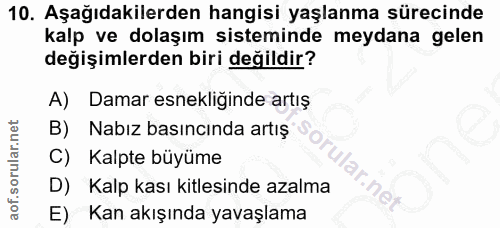 10. soru: Aşağıdakilerden hangisi yaşlanma sürecinde kalp ve dolaşım sisteminde meydana gelen değişimlerden biri değildir? A) D…