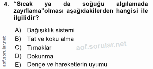 4. soru: "Sıcak ya da soğuğu algılamada zayıflama"olması aşağıdakilerden hangisi ile ilgilidir? A) Bağışıklık sistemi B) Tat v…