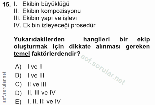 15. soru: I. Ekibin büyüklüğü II. Ekibin kompozisyonu IlI. Ekibin yapı ve işlevi IV. Ekibin izleyeceği prosedür Yukarıdakilerde…