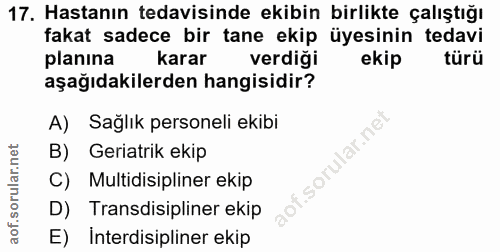 17. soru: Hastanın tedavisinde ekibin birlikte çalıştığı fakat sadece bir tane ekip üyesinin tedavi planina karar verdiği ekip…