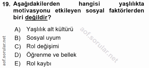 19. soru: Aşağıdakilerden hangisi yaşlılıkta motivasyonu etkileyen sosyal faktörlerden biri değildir? A) Yaşlılık alt kültürü B…