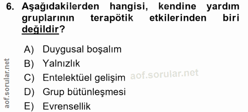 6. soru: Aşağıdakilerden hangisi, kendine yardım gruplarının terapötik etkilerinden biri değildir? A) Duygusal boşalım B) Yaln…