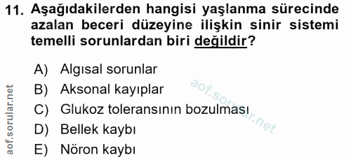 11. soru: Aşağıdakilerden hangisi yaşlanma sürecinde azalan beceri düzeyine ilişkin sinir sistemi temelli sorunlardan biri deği…