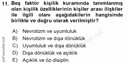 11. soru: Beş faktör kişilik kuramında tanımlanmış olan kişilik özelliklerinin kişiler arası ilişkiler ile ilgili olanı aşağıda…