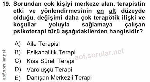 19. soru: Sorundan çok kişiyi merkeze alan, terapistin etki ve yönlendirmesinin en alt düzeyde olduğu, değişimi daha çok terapö…
