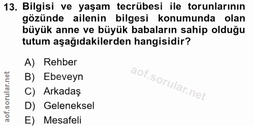 13. soru: Bilgisi ve yaşam tecrübesi ile torunlarının gözünde ailenin bilgesi konumunda olan büyük anne ve büyük babaların sahi…