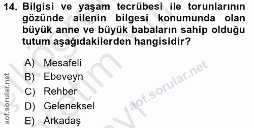 14. soru: Bilgisi ve yaşam tecrübesi ile torunlarının gözünde ailenin bilgesi konumunda olan büyük anne ve büyük babaların sahi…