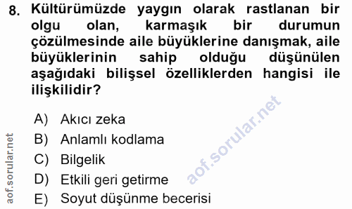 8. soru: Kültürümüzde yaygın olarak rastlanan bir olgu olan, karmaşık bir durumun çözülmesinde aile büyüklerine danışmak, aile…