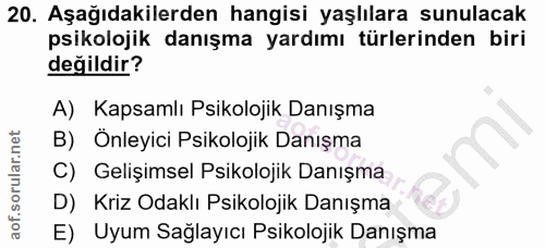 20. soru: Aşağıdakilerden hangisi yaşlılara sunulacak psikolojik danışma yardımı türlerinden biri değildir? A) Kapsamlı Psikolo…