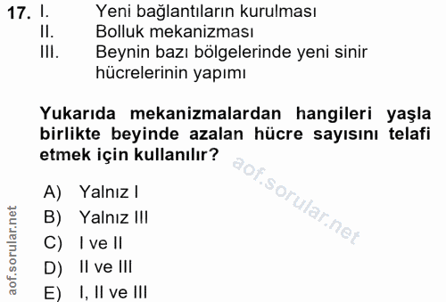 17. soru: 1. Yeni bağlantıların kurulması II. Bolluk mekanizması III. Beynin bazı bölgelerinde yeni sinir hücrelerinin yapımı Y…