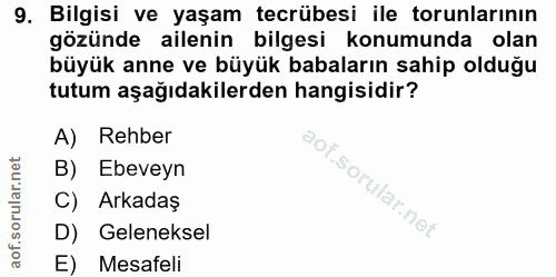 9. soru: Bilgisi ve yaşam tecrübesi ile torunlarının gözünde ailenin bilgesi konumunda olan büyük anne ve büyük babaların sahi…