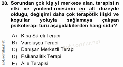 20. soru: Sorundan çok kişiyi merkeze alan, terapistin etki ve yönlendirmesinin en alt düzeyde olduğu, değişimi daha çok terapö…