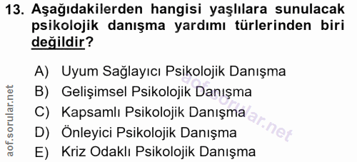 13. soru: Aşağıdakilerden hangisi yaşlılara sunulacak psikolojik danışma yardımı türlerinden biri değildir? A) Uyum Sağlayıcı P…