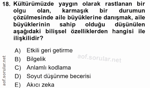 18. soru: Kültürümüzde yaygın olarak rastlanan bir olgu olan, karmaşık bir durumun çözülmesinde aile büyüklerine danışmak, aile…