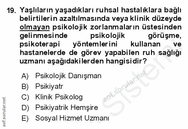 19. soru: Yaşlıların yaşadıkları ruhsal hastalıklara bağlı belirtilerin azaltılmasında veya klinik düzeyde olmayan psikolojik z…