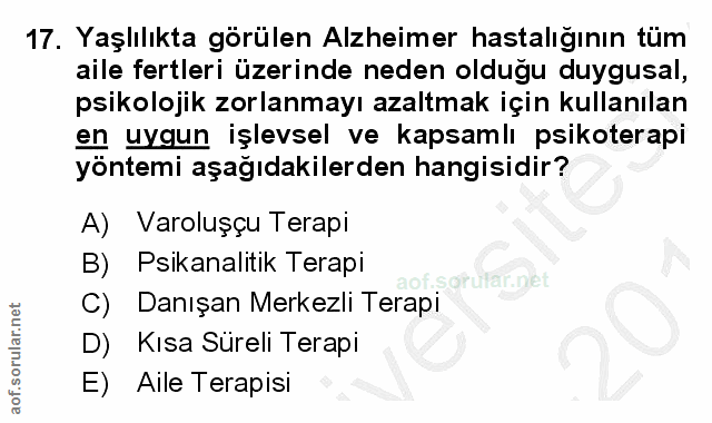 17. soru: Yaşlılıkta görülen Alzheimer hastalığının tüm aile fertleri üzerinde neden olduğu duygusal, psikolojik zorlanmayı aza…