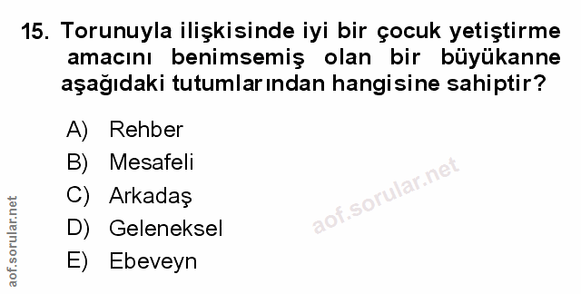 15. soru: Torunuyla ilişkisinde iyi bir çocuk yetiştirme amacını benimsemiş olan bir büyükanne aşağıdaki tutumlarından hangisin…