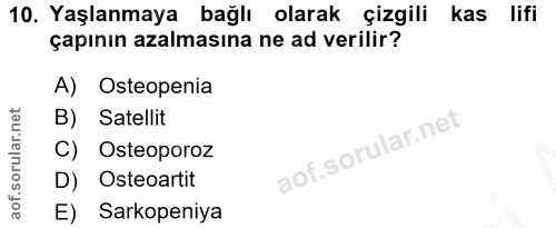 10. soru: Yaşlanmaya bağlı olarak çizgili kas lifi çapının azalmasına ne ad verilir? A) Osteopenia B) Satellit C) Osteoporoz D)…