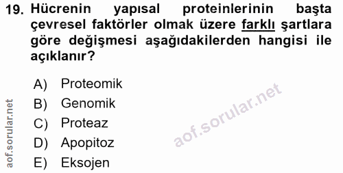 19. soru: Hücrenin yapısal proteinlerinin başta çevresel faktörler olmak üzere farklı şartlara göre değişmesi aşağıdakilerden h…