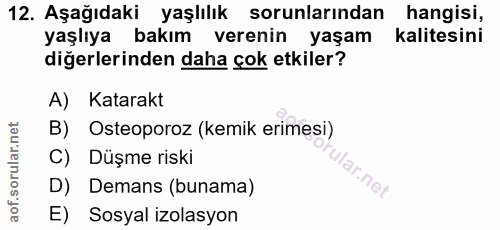 12. soru: Aşağıdaki yaşlılık sorunlarından nanaisı yaşlıya bakım verenin yaşam Kalıtesını diğerlerinden daha çok etkiler? A) Ka…