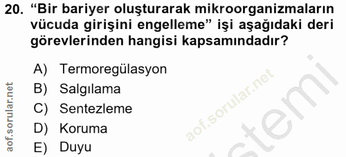 20. soru: "Bir bariyer oluşturarak mikroorganizmaların vücuda girişini engelleme" işi aşağıdaki deri görevlerinden hangisi kaps…