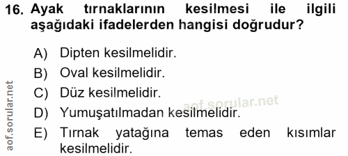16. soru: Ayak tırnaklarının kesilmesi ile ilgili aşağıdaki ifadelerden hangisi doğrudur? A) Dipten kesilmelidir. B) Oval kesil…