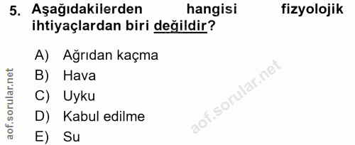 5. soru: Aşağıdakilerden hangisi fizyolojik ihtiyaçlardan biri değildir? A) Ağrıdan kaçma B) Hava i. C) Uyku D) Kabul edilme E…