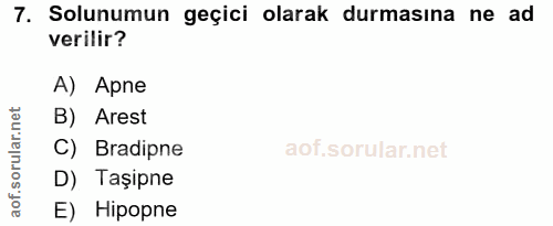7. soru: Solunumun geçici olarak durmasına ne ad verilir? A) Apne orular.net B) Arest C) Bradipne D) Taşipne aof. E) Hipopne
