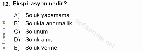 12. soru: Ekspirasyon nedir? A) Soluk yapamama B) Solukta anormallik C) Solunum D) Soluk alma E) Soluk verme