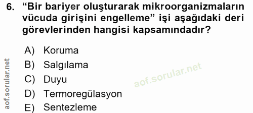 6. soru: "Bir bariyer oluşturarak mikroorganizmaların vücuda girişini engelleme" işi aşağıdaki deri görevlerinden hangisi kaps…