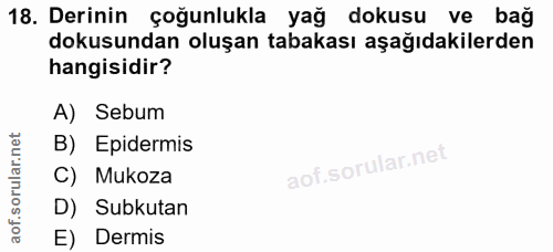 18. soru: Derinin çoğunlukla yağ dokusu ve bağ dokusundan oluşan tabakası aşağıdakilerden hangisidir? A) Sebum B) Epidermis C)…