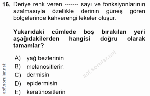 16. soru: Deriye renk veren --- sayı ve fonksiyonlarının azalmasıyla özellikle derinin güneş gören bölgelerinde kahverengi leke…