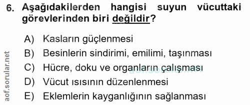 6. soru: Aşağıdakilerden hangisi suyun vücuttaki görevlerinden biri değildir? A) Kasların güçlenmesi B) Besinlerin sindirimi,…