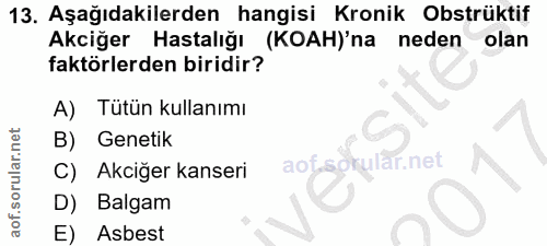 13. soru: Aşağıdakilerden hangisi Kronik Obstrüktif Akciğer Hastalığı (KOAH)'na neden olan faktörlerden biridir? A) Tütün kulla…